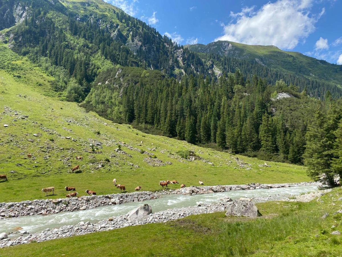 Penthaus Kitzebueheler Alpen Lejlighed Neukirchen am Großvenediger Eksteriør billede