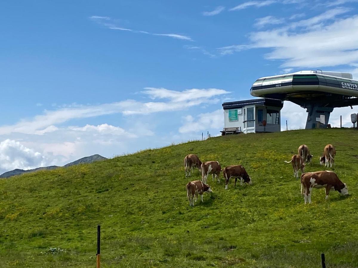 Penthaus Kitzebueheler Alpen Lejlighed Neukirchen am Großvenediger Eksteriør billede