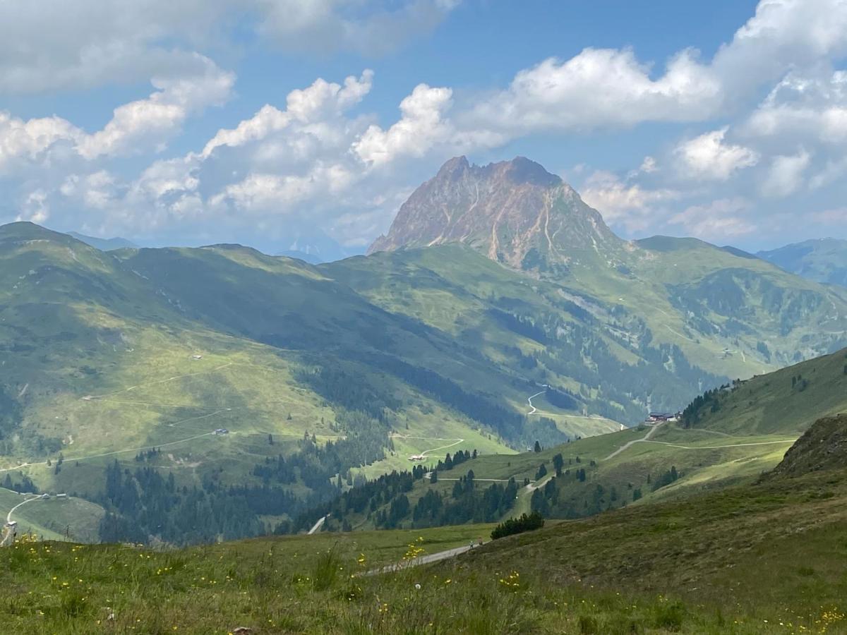 Penthaus Kitzebueheler Alpen Lejlighed Neukirchen am Großvenediger Eksteriør billede